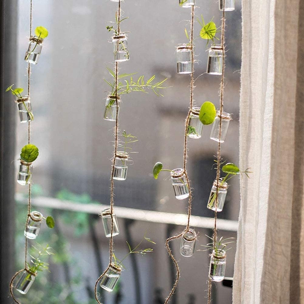 hanging planter glass