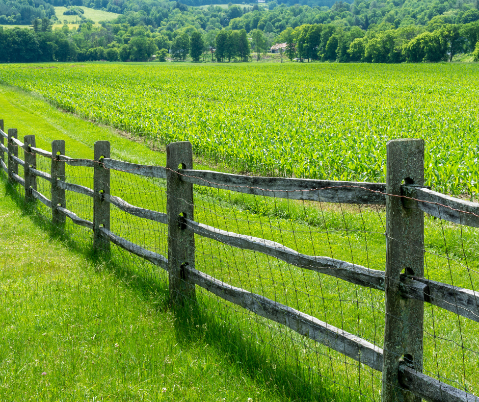 farm fences